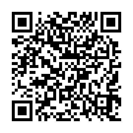 QR code for NV9313