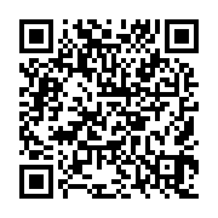 QR code for NV9941