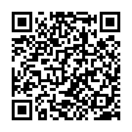 QR code for NX6599