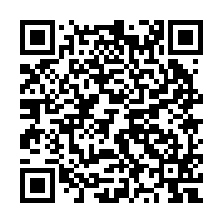 QR code for NY1295