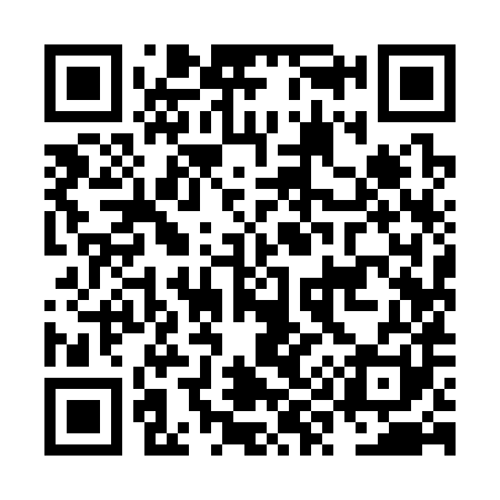 QR code for NY9381