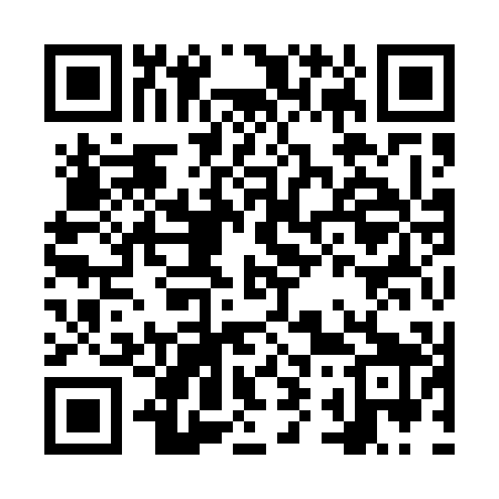 QR code for NY9509