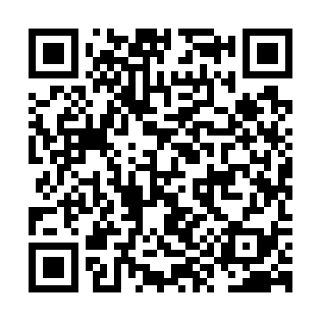 QR code for NY9739