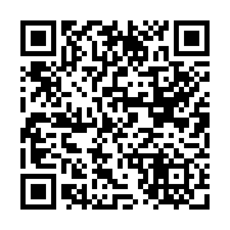 QR code for NZ0379