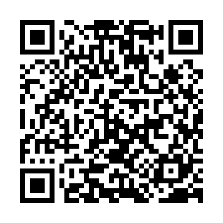 QR code for OA9125
