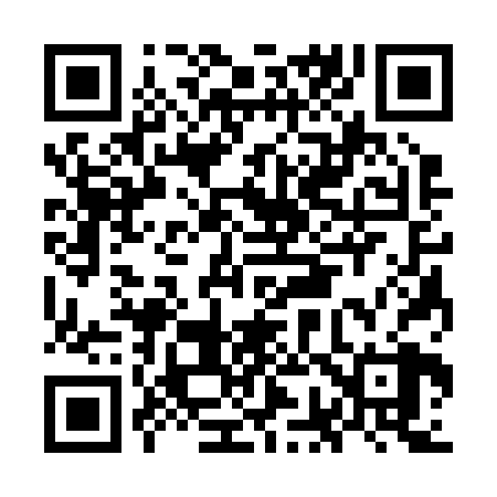 QR code for OG3228