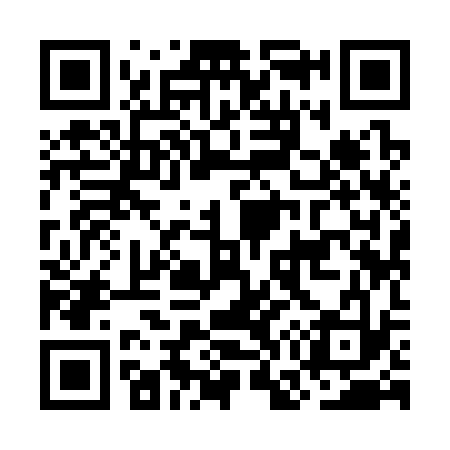 QR code for OG9333