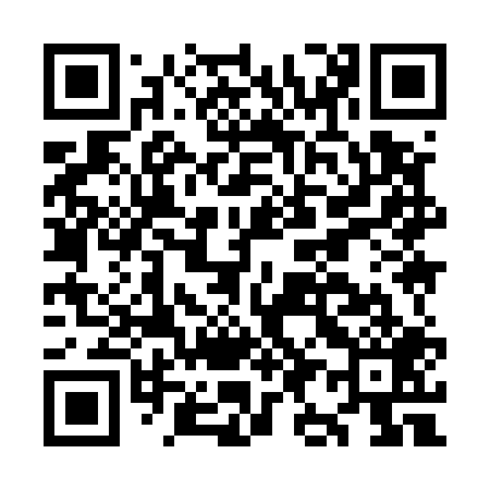 QR code for OI9509