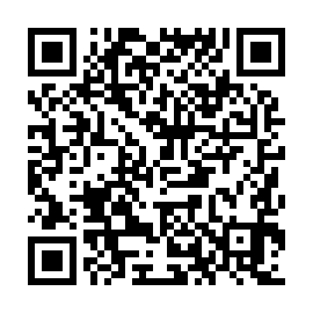 QR code for OL0991