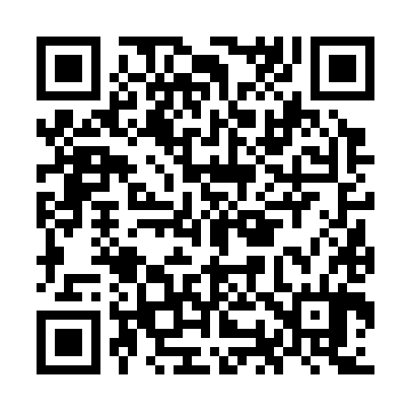 QR code for OO6384