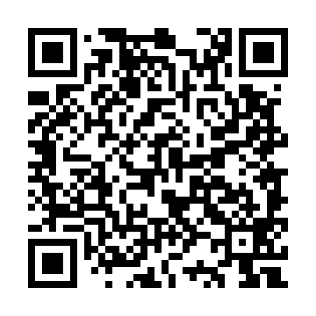 QR code for OR4599