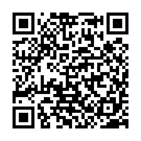 QR code for OR9595