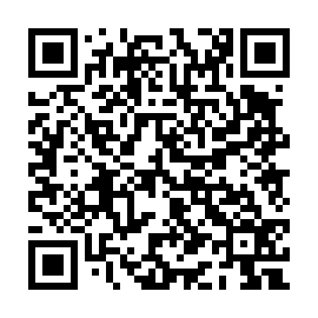 QR code for PA0436