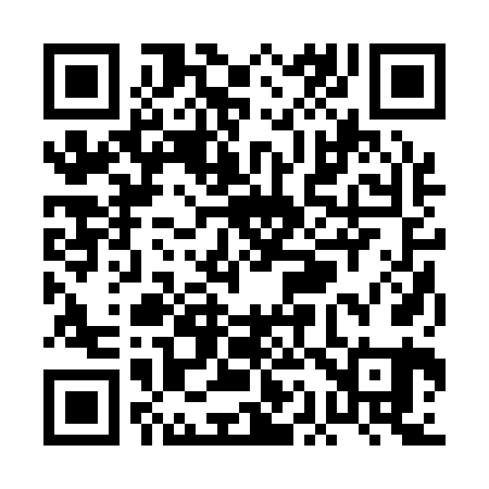 QR code for PA2161