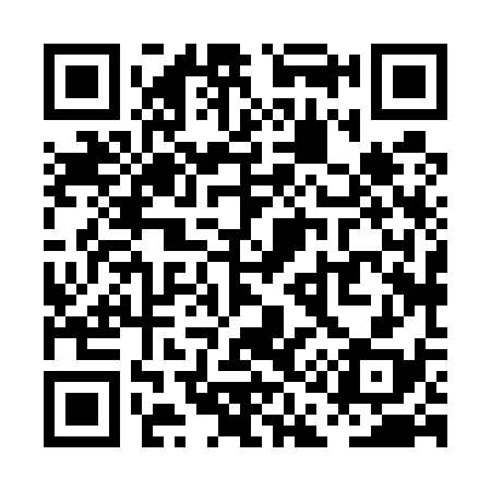 QR code for PA8538
