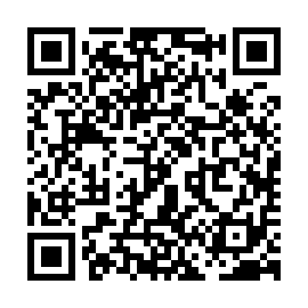 QR code for PF2911