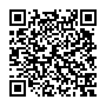 QR code for PG0438