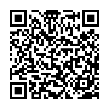 QR code for PG0461