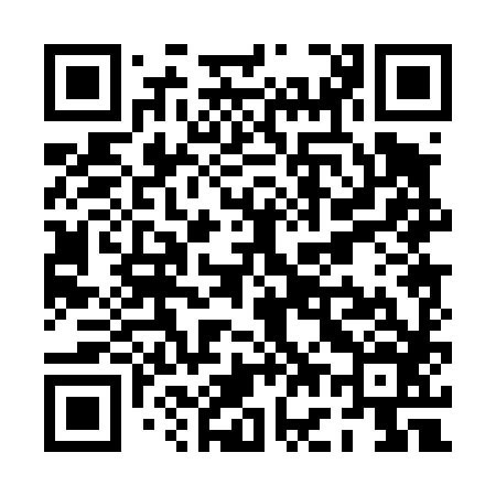 QR code for PG0486