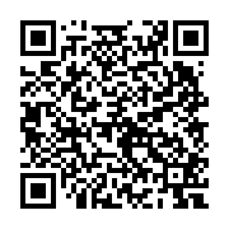 QR code for PG0601