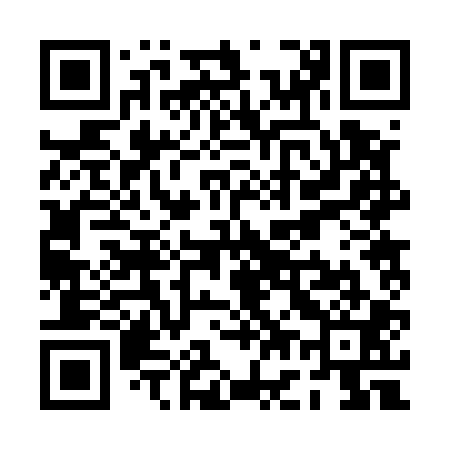 QR code for PG2501