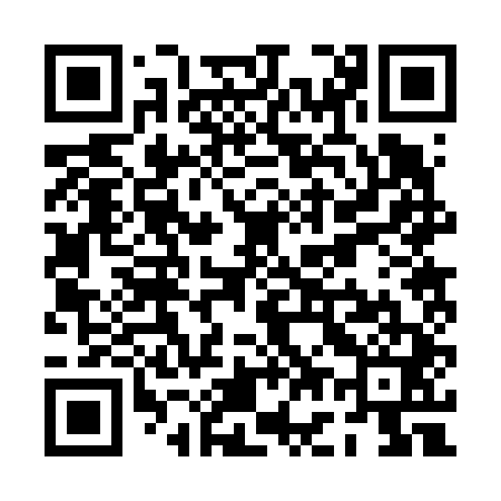 QR code for PG2641