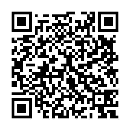 QR code for PG3838