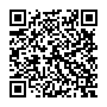 QR code for PG3863