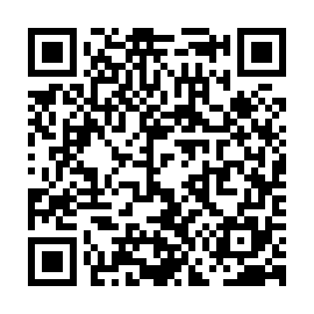 QR code for PG3875