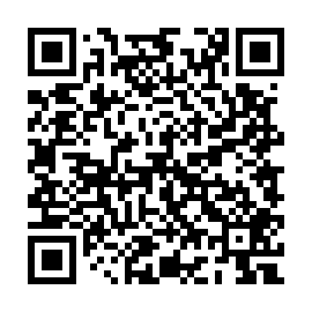 QR code for PG4509