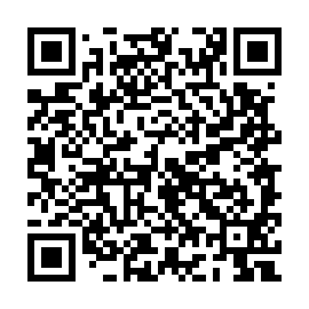 QR code for PG4591
