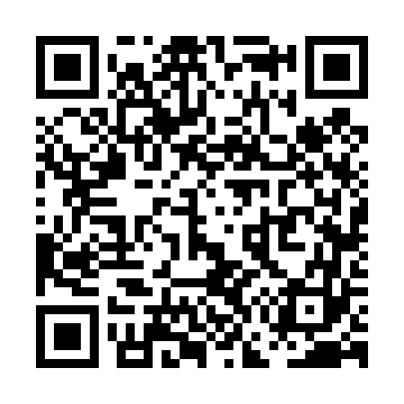 QR code for PG6463