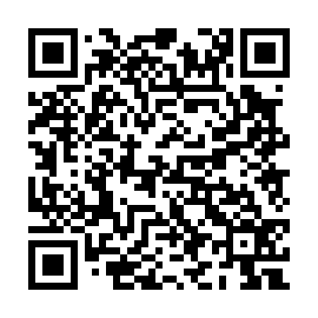 QR code for PI0036