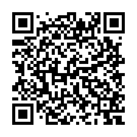 QR code for PI0101