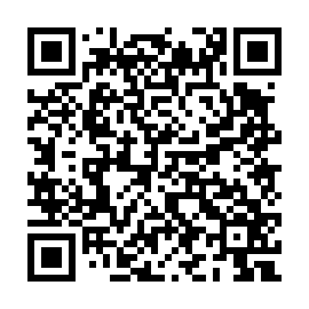 QR code for PI0466
