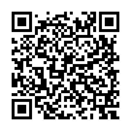 QR code for PI0990