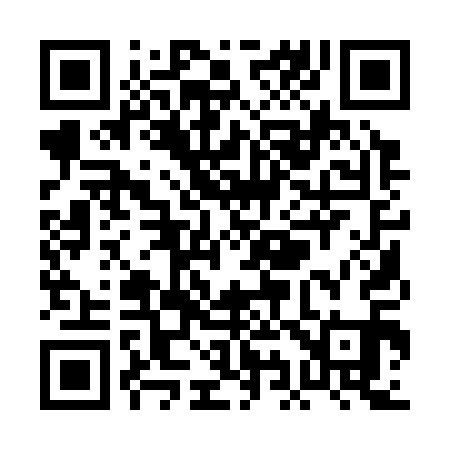 QR code for PI1311