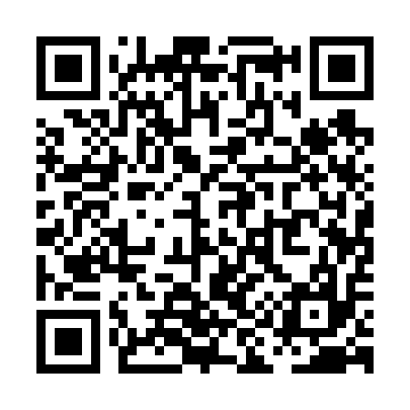QR code for PI1617