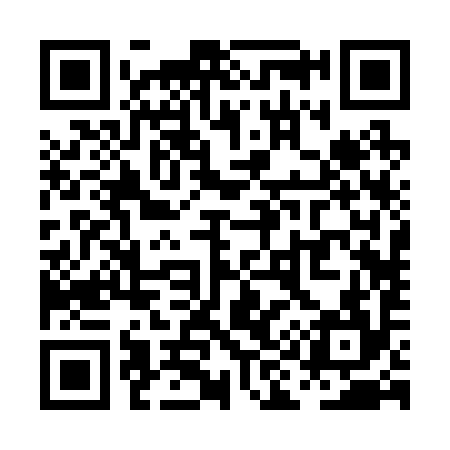 QR code for PI2294