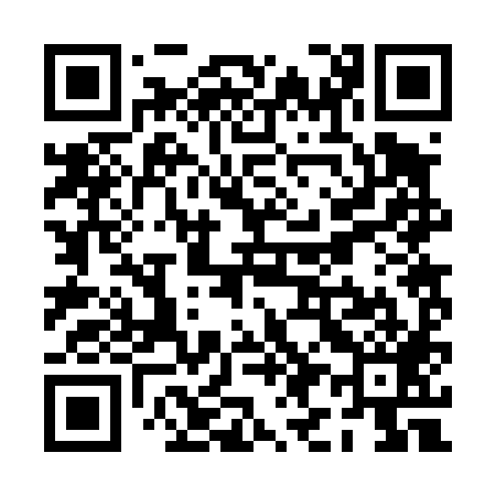 QR code for PI2489