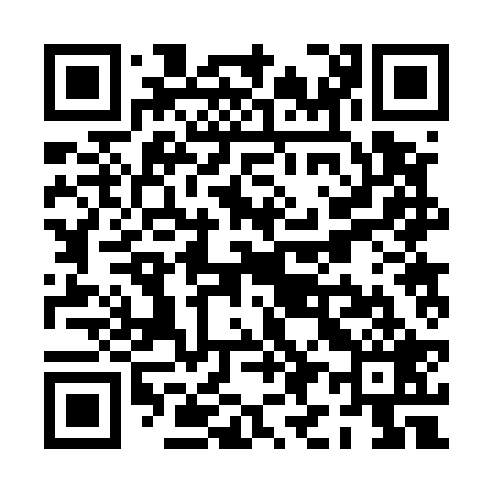 QR code for PI2529