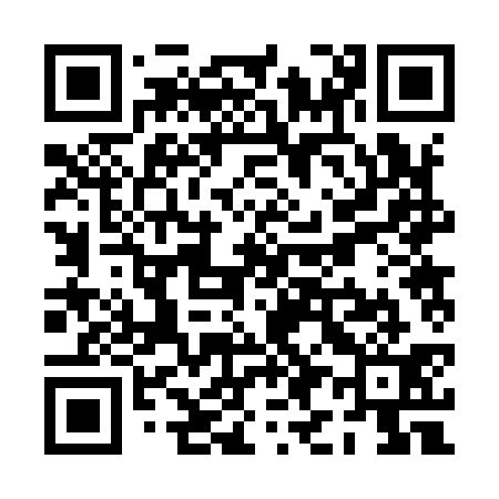 QR code for PI2931
