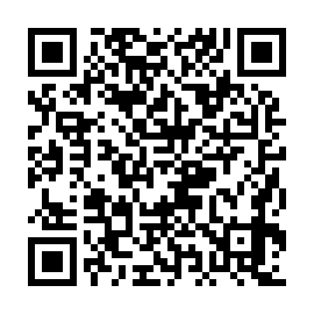 QR code for PI2979