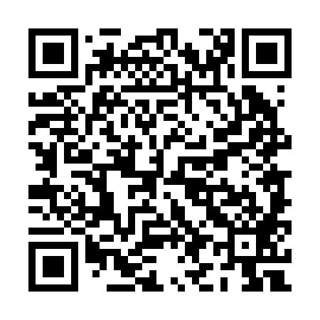 QR code for PI4289