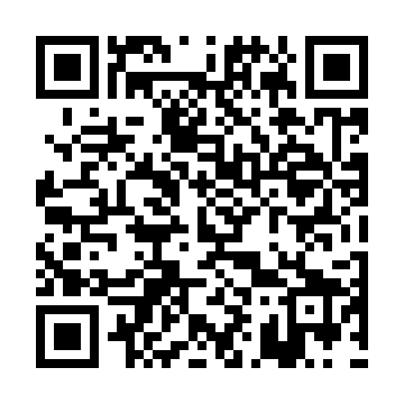 QR code for PI4929