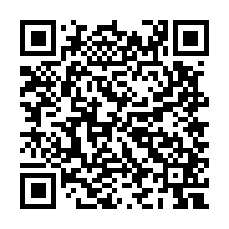 QR code for PI5541
