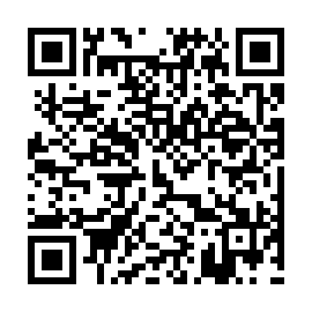 QR code for PI6391