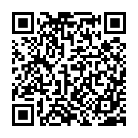QR code for PI6557