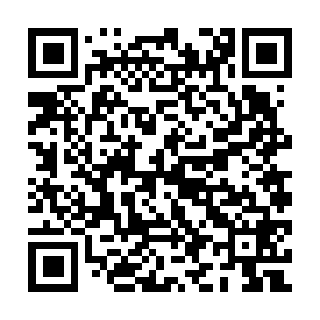 QR code for PI6668
