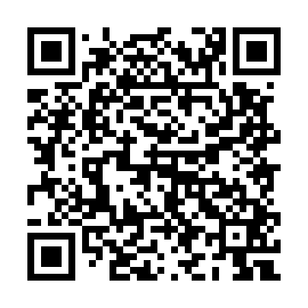 QR code for PI8541